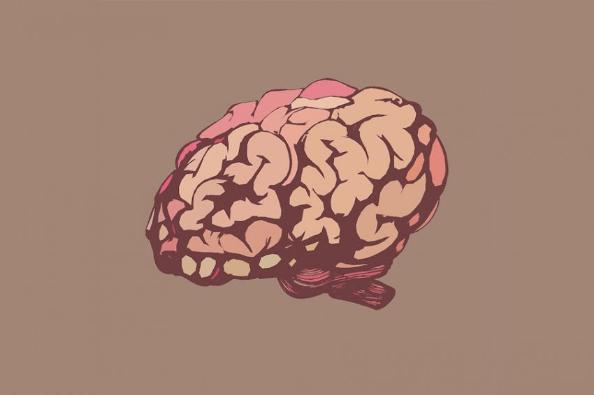 Мозг очищается от отходов с помощью электрических волн во время сна